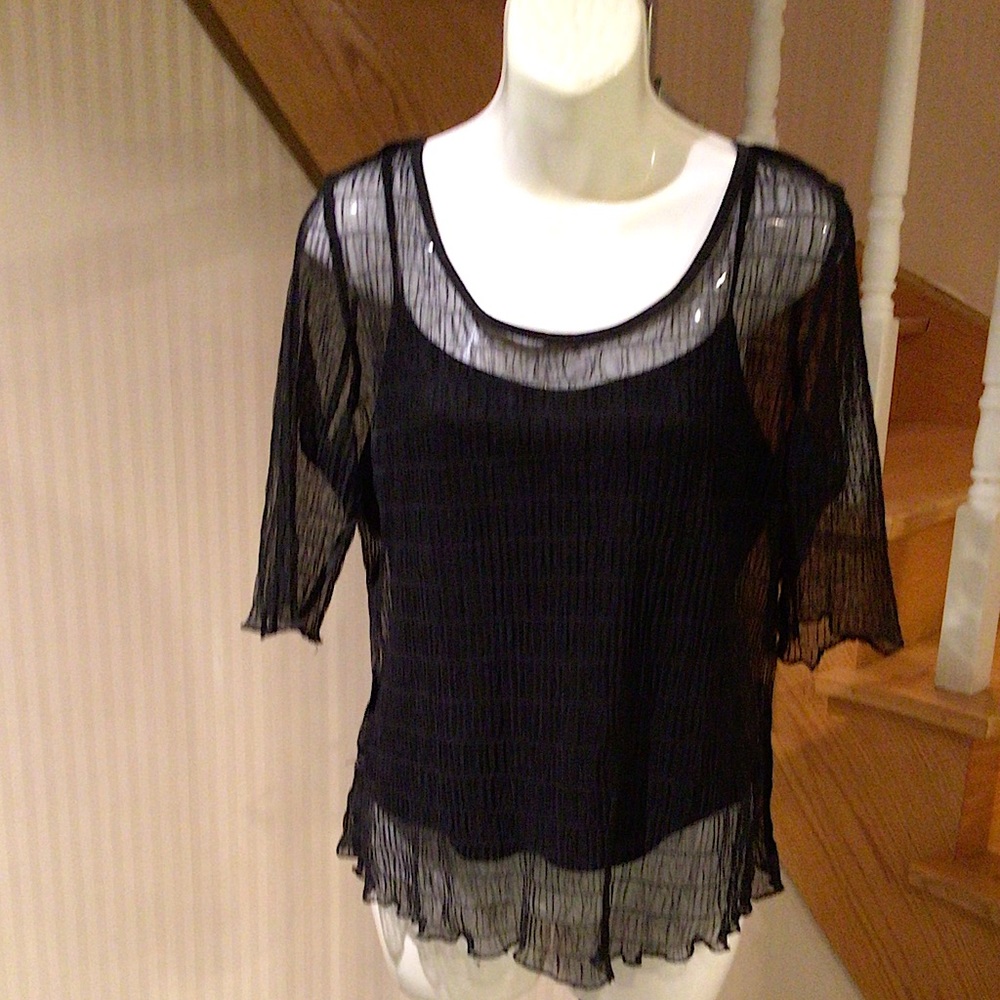 🛍2 for $40🛍Black sheer 2 piece slip on top